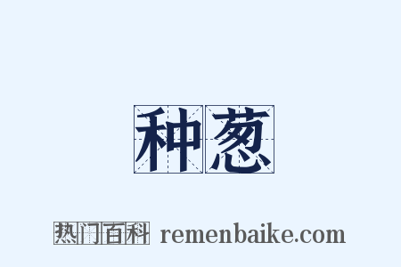 种葱是什么意思的图片